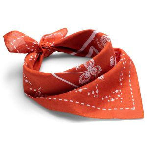Amundsen Bandana