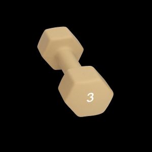 Abilica Dumbbell 3 Kg